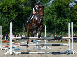 _DSC7739_web